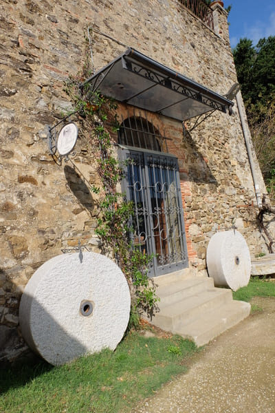 l'ingresso del negozio del frantoio